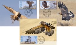 Kyrgyzstan 2015 Birds Falcons Eagles Salbuurun - traditional hunting of the Kyrgyz Set of 3 maxicards