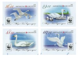 Kyrgyzstan 2015 WWF Whooper swan Set of 4 imperforates stamps MNH