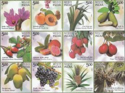 India 2023 Agricultural Geographical goods Fruits Flowers Trees set of 12 stamps MNH