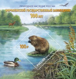 Russia Russland Russie 2023 Voronezh nature reserve Beaver Duck landscape block MNH