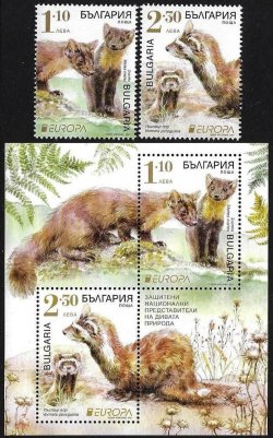 Bulgaria Bulgarien 2021 Europa CEPT Rare fauna protected animals Martes martes set of 2 stamps and block MNH