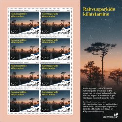 Estonia Estland Estonie 2023 Summer in Estonia National park Soome Swamp trails under the stars BeePost sheetlet mint