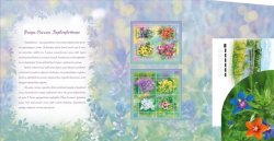 Russia Russland Russie 2023 First spring flowers limited edition booklet with set FDC and special block vignettes