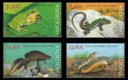 Moldova Moldavia Moldavien 2023 Fauna Red Book Reptiles and Amphibians Frog Lizard Triton Snake set of 4 stamps MNH **