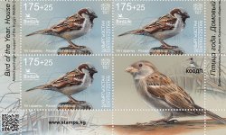 Kyrgyzstan 2023 The House Sparrow Bird of the Year block of 3 stamps and label MNH