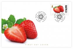 Finland Finnland Finlande 2024 Strawberry Taste of summer Posti sheetlet booklet MNH