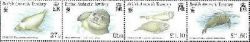 British Antarctic Territory. WWF. Crabeater seals (Lobodon carcinophagus). Strip 4st