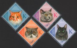 Russian occupation of Moldova (Transnistria) 2024 Cats domestic breeds set of 4 perforated stamps MNH