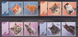 Russian occupation of Moldova (Transnistria) 2024 Cats domestic breeds set of 4 perforated stamps with labels MNH
