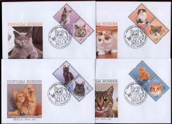 Russian occupation of Moldova (Transnistria) 2024 Cats domestic breeds set of 4 perforated stamps FDC