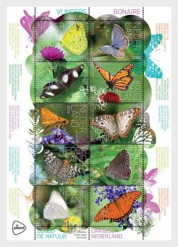 Netherlands Pays-Bas Niederlande 2024 Experience Nature Butterflies on Bonaire set of 10 stamps in block sheetlet MNH