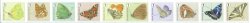 Belgium Belgique Belgien 2014 Butterflies definitives set of 10 stamps MNH