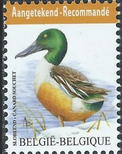Belgium Belgique Belgien 2015 Bird Shoveler duck definitive high face value stamp MNH