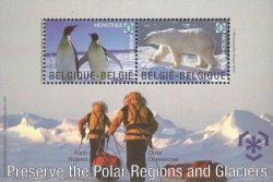 Belgium Belgique Belgien 2009 IPY Int Polar Year bear penguin set of 2 stamps in block MNH