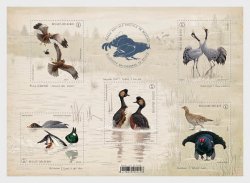 Belgium Belgique Belgien 2024 Birds Special Courtship Behavior set of 5 stamps in block MNH