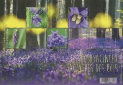 Belgium Belgique Belgien 2017 Spring forest flowers English bluebell Hyacinths Hyacinthoides non-scripta set of 5 stamps in block MNH