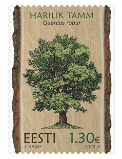 Estonia Estland Estonie 2024 Estonian forest trees - the pendunculate (English) oak Omniva stamp MNH