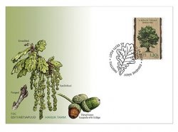 Estonia Estland Estonie 2024 Estonian forest trees - the pendunculate (English) oak Omniva FDC