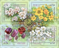 Russia Russland Russie 2024 Flowers of the Caucasus set of 4 stamps in block 2x2 MNH
