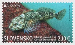Slovakia 2024 EUROPA CEPT Fauna and Flora of the Lakes of the Tatra Mountains Rare fish perforated stamp MNH