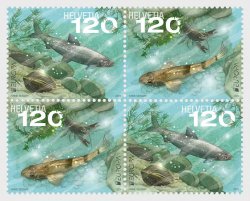 Switzerland Schweiz Suisse 2024 Europa CEPT Fishes underwater rare fauna block 2x2 of 2 sets MNH