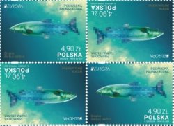 Poland Polen Pologne 2024 Europa CEPT Underwater fauna Fish block of 4 stamps in 2 tete-beshes MNH