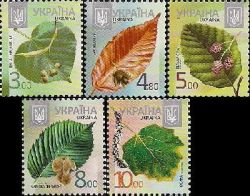 Ukraine. Definitives # VIII. Trees. Linden, beech, alder, elm, aspen. Set of 5 stamps