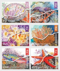 Guernsey Great Britain 2024 Europa CEPT Underwater Fauna & Flora set of 6 stamps MNH