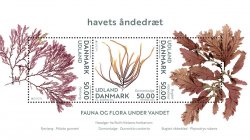 Denmark Danemark Danmark 2024 Europa CEPT Undewater flora and fauna set of 3 stamps in block MNH
