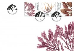 Denmark Danemark Danmark 2024 Europa CEPT Undewater flora and fauna set of 3 stamps FDC