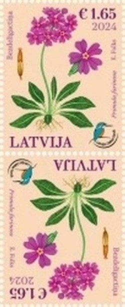 Latvia Lettland Lettonie 2024 Nature Fund Bird’s-eye Primrose flower tete-beshe MNH