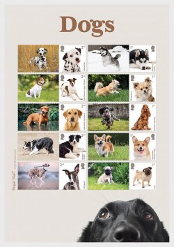 Great Britain United Kingdom 2024 Dogs set of 10 stamps with labels in special limited edition block sheetlet MNH