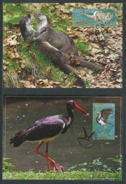 Slovakia 2015 Protected Landscape Area Poľana River Otter and Black Stork set of 2 Maxicards