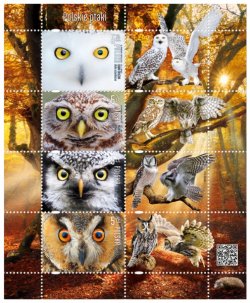 Poland Polen Pologne 2017 Birds Owls set of 4 stamps with labels in block MNH