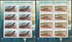 Russian occupation of Moldova ( Transnistria ) 2024 Europa CEPT Underwater fauna set of 2 perforated sheetlets MNH