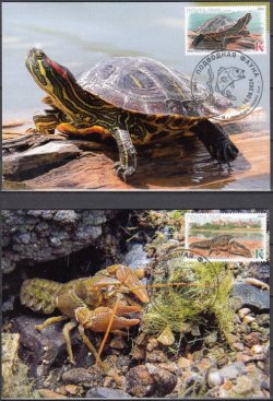 Russian occupation of Moldova ( Transnistria ) 2024 Europa CEPT Underwater fauna Set of 2 maxicards