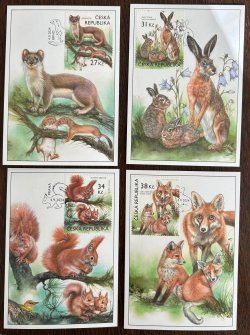 Czech Tschechien Tchèque 2024 Baby animals in our nature Mammals Set of 4 Maxicards