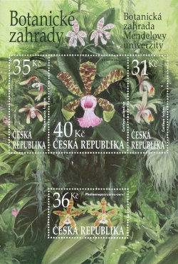 Czech Tschechien Tchèque 2025 Orchids Brno Botanic garden flowers Set of 4 stamps in block MNH