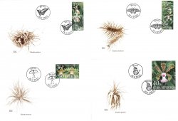 Czech Tschechien Tchèque 2025 Orchids and butterflies Brno Botanic garden flowers Set of 4 FDC's MNH