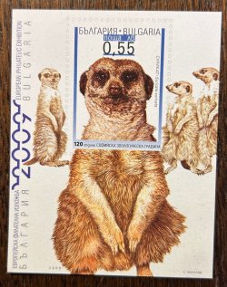 Bulgaria 2008 Sofia zoo 120 ann Suricata Limited edition imperforated block for exhibition 2009 MNH