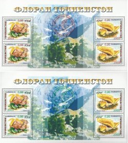 Tajikistan 2004 Mushrooms Save the Green World Set of 2 Block's with red and green overprints MNH