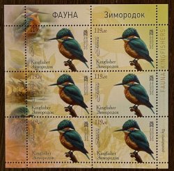 Kyrgyzstan 2025 Rare fauna Birds Kingfisher Perforated set of 6 stamps in block MNH