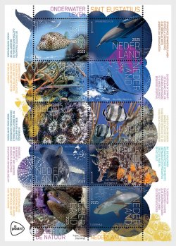Netherlands Pays-Bas Niederlande 2025 Experience Nature Underwater Life Sint Eustatius Set of 10 stamps in block sheetlet MNH