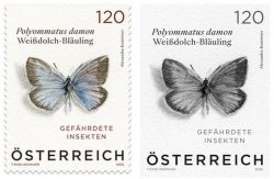 Austria Österreich L'Autriche 2025 Damon blue Polyommatus damon butterfly Set of stamp and limited edition blackprint proof MNH