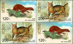 Mountain-Karabakh Armenia 2020 Rare fauna Jungle cat and weasel 2 sets in block 2x2 MNH