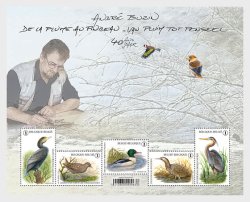 Belgium 2025 Birds by Andre Buzin 40 ann Set of 5 stamps in block MNH