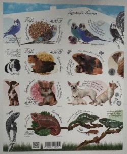 Poland 2025 Pets Limited edition imperforated block MNH