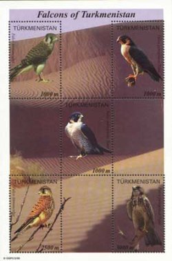 Turkmenistan 2000 Birds of prey Falcons Set of 5 stamps in block MNH