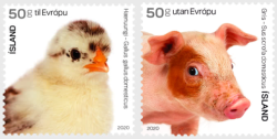 Iceland Island Istande 2020 The Young of Icelandic Domestic Animals birds mammals Set of 2 stamps MNH