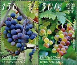 Kyrgyzstan 2025 Uzun-Akhmat Grape Set of 2 stamps in strip MNH